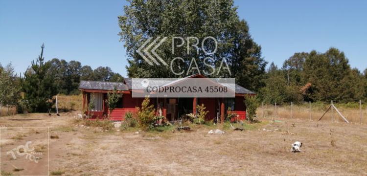 Ruta Villarrica Pucón/Km 12