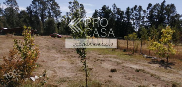 Ruta Villarrica Pucón/Km 12