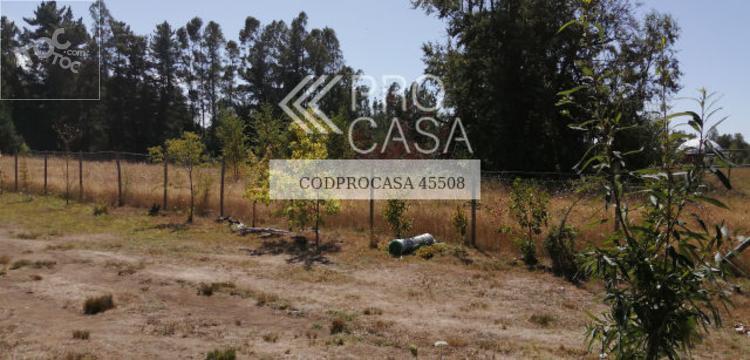 Ruta Villarrica Pucón/Km 12