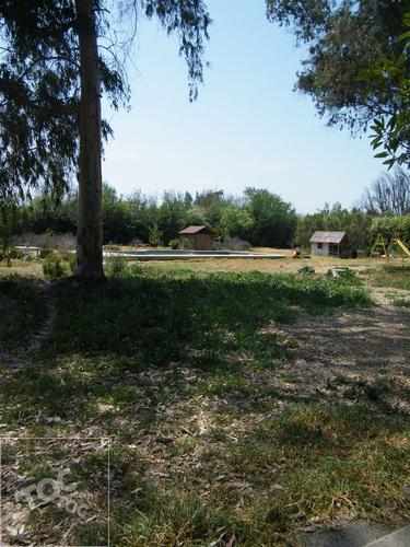 Camino San Luis