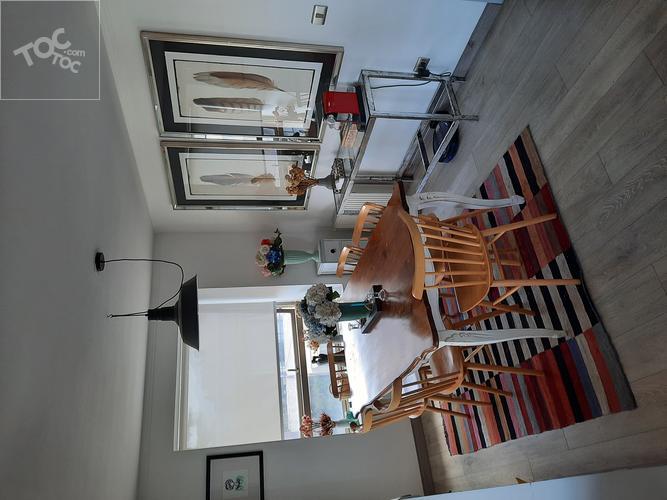 Departamento Plaza las Lilas/metro Colon