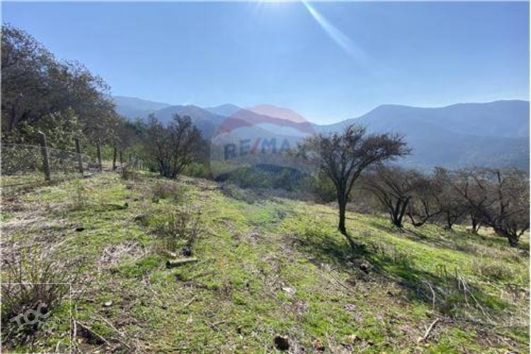 Bosques de Aculeo
