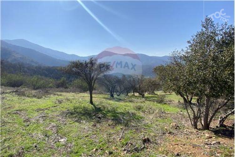 Bosques de Aculeo