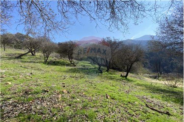 Bosques de Aculeo