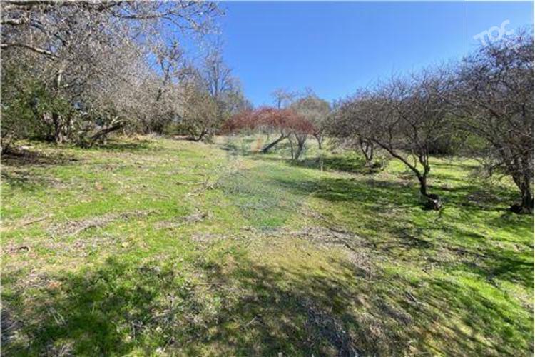 Bosques de Aculeo