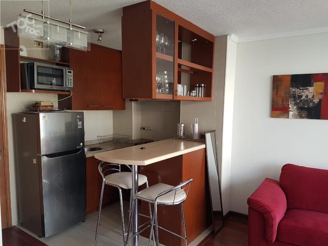 ARRIENDO DEPARTAMENTO AMOBLADO CON VISTA ESPECTACULAR AL CERRO SAN CRISTÓBAL EN CIRUJANO GUZMAN 70 DP- 909, Providencia