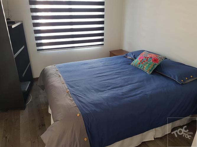 ARRIENDO DEPARTAMENTO AMOBLADO CON VISTA ESPECTACULAR AL CERRO SAN CRISTÓBAL EN CIRUJANO GUZMAN 70 DP- 909, Providencia
