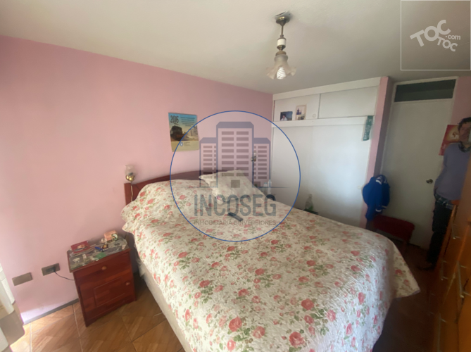 DEPARTAMENTO VALPARAÍSO, CERRO YUNGAY