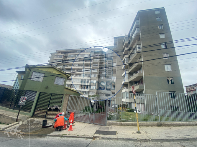 DEPARTAMENTO VALPARAÍSO, CERRO YUNGAY