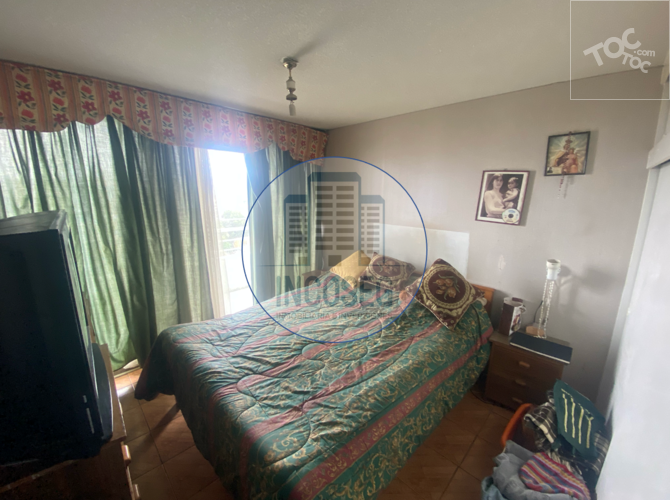 DEPARTAMENTO VALPARAÍSO, CERRO YUNGAY