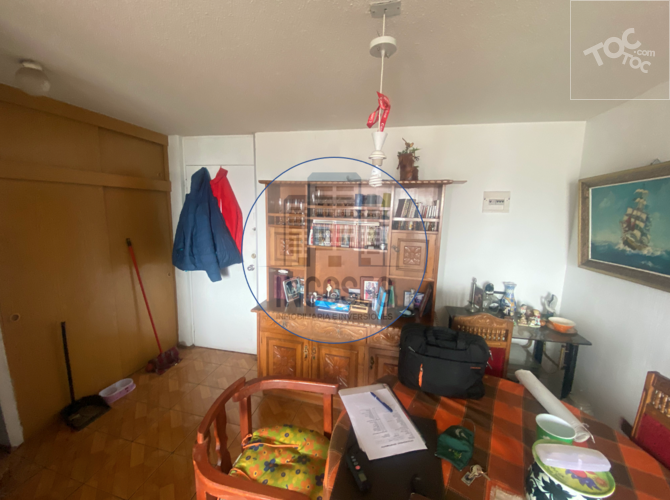 DEPARTAMENTO VALPARAÍSO, CERRO YUNGAY