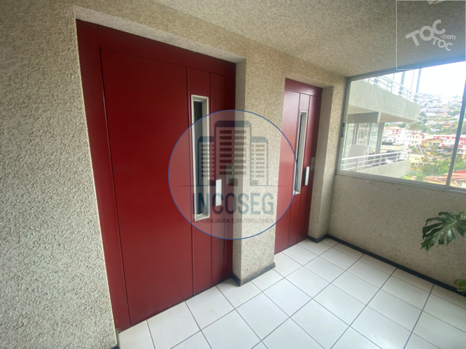 DEPARTAMENTO VALPARAÍSO, CERRO YUNGAY
