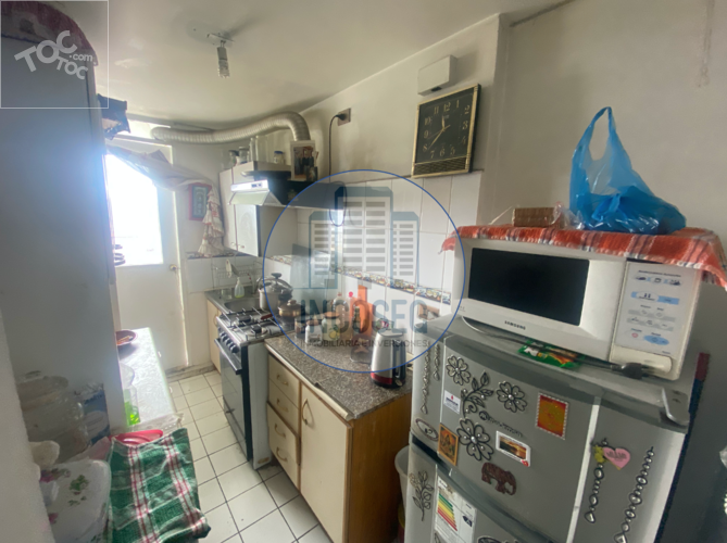 DEPARTAMENTO VALPARAÍSO, CERRO YUNGAY