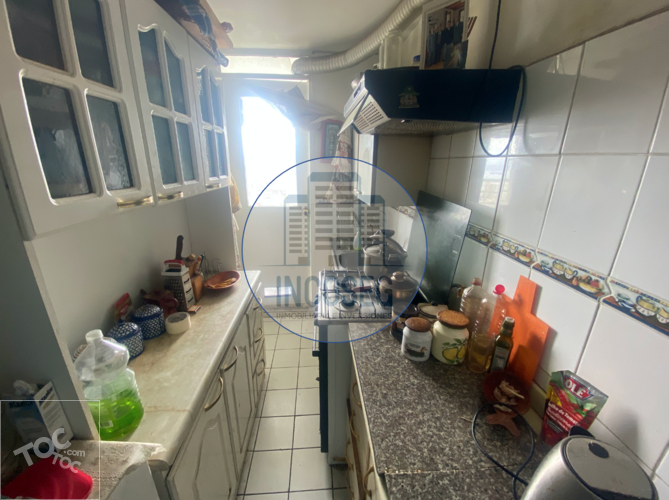 DEPARTAMENTO VALPARAÍSO, CERRO YUNGAY