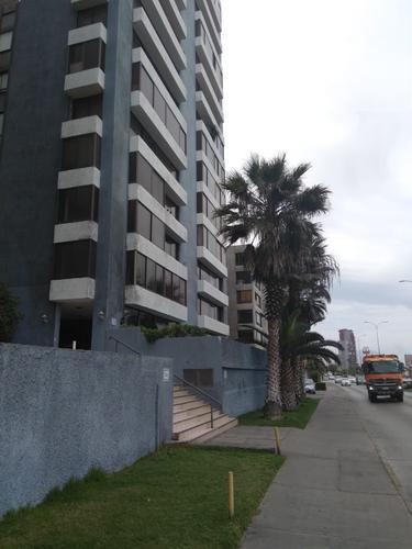 avenida grecia 736