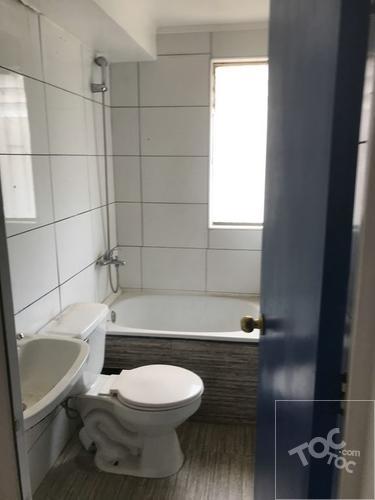 Los Alelies 555, Viña del Mar