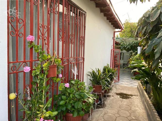 Yungay/Camilo Henríquez