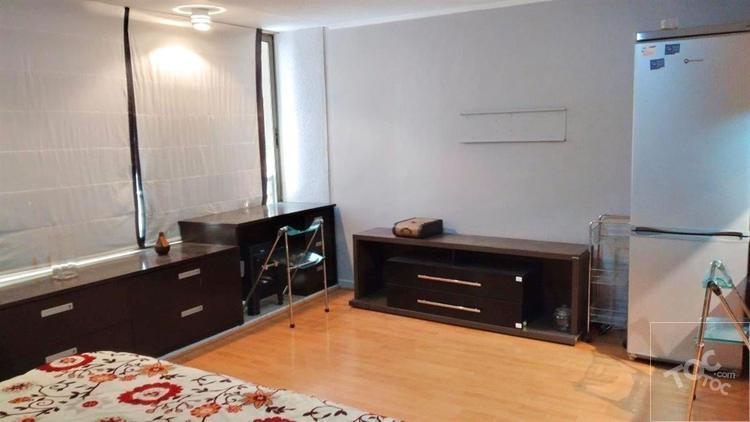 Estudio Amoblado Vergara 186
