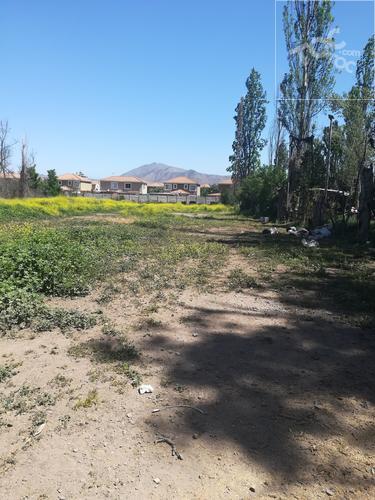LO SALINAS, Buin