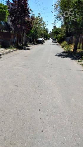LO SALINAS, Buin