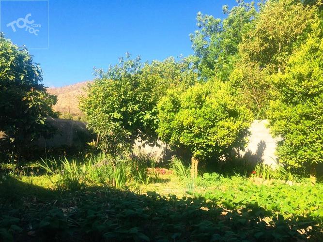 Casa con huerto en Vicuña