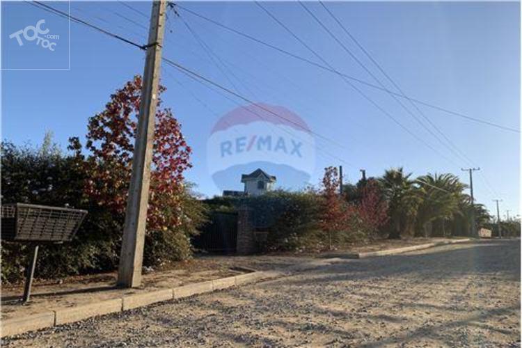 Los aromos