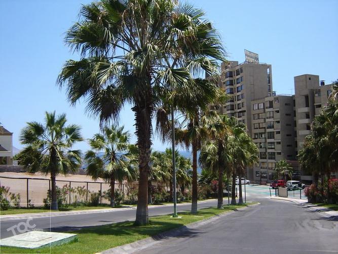 Condominio Carrara Piso 14 Torre A
