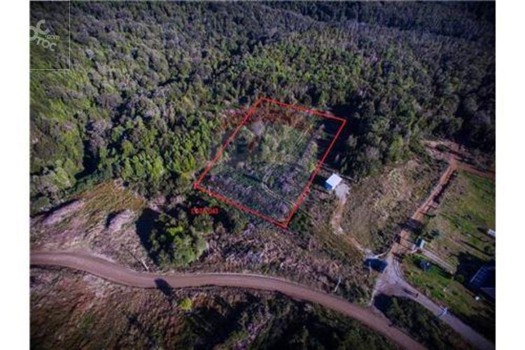 Bosques de Pauldeo, Fundo Lechagua