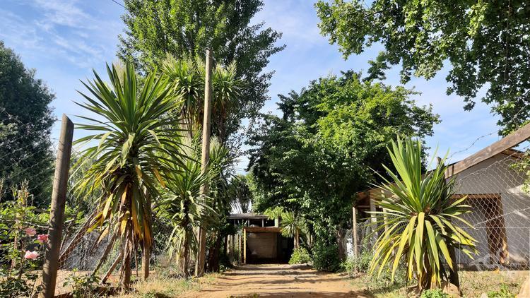 Los Aromos 715 B, Colbún