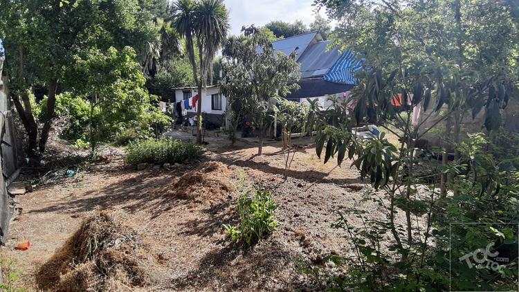 Los Aromos 715 B, Colbún