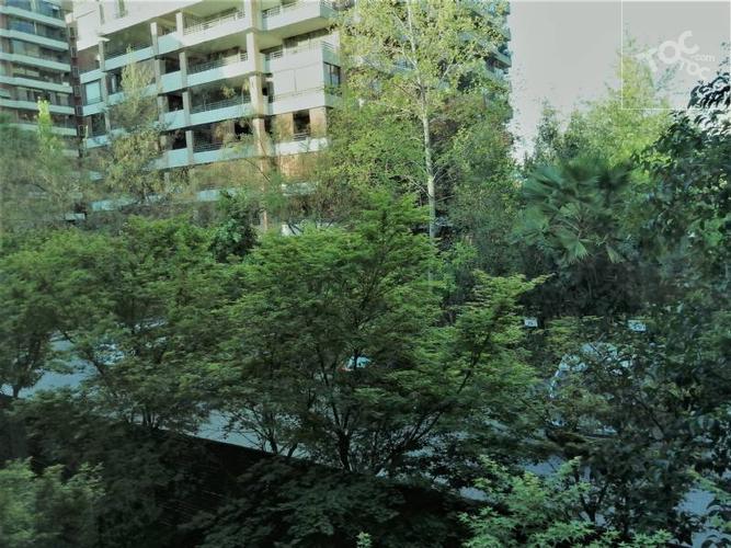 PARQUE ARAUCO