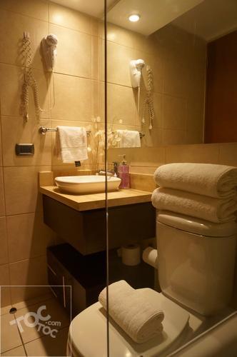 SANTA BEATRIZ 81 DP 802, Providencia