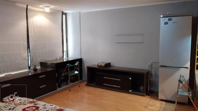 Estudio Amoblado Vergara 186