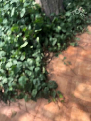 VENDO CASA EN ÑUÑOA, USO COMERCIAL Y HABITACIONAL
