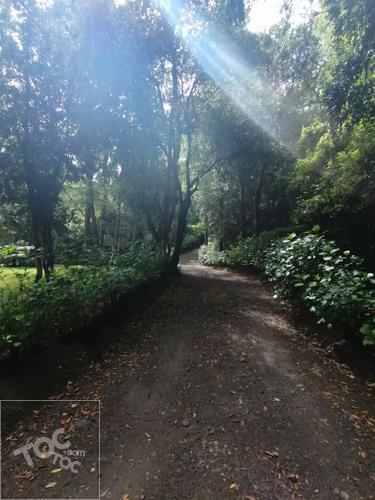 Loteo Bellavista/Loteo Bellavista