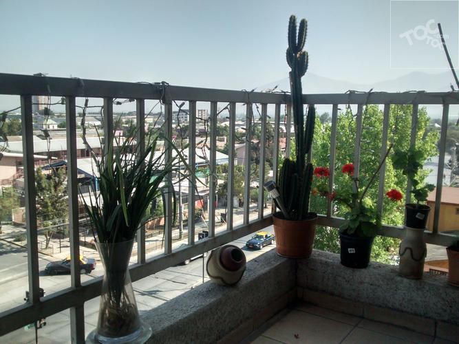 unión 210, Recoleta