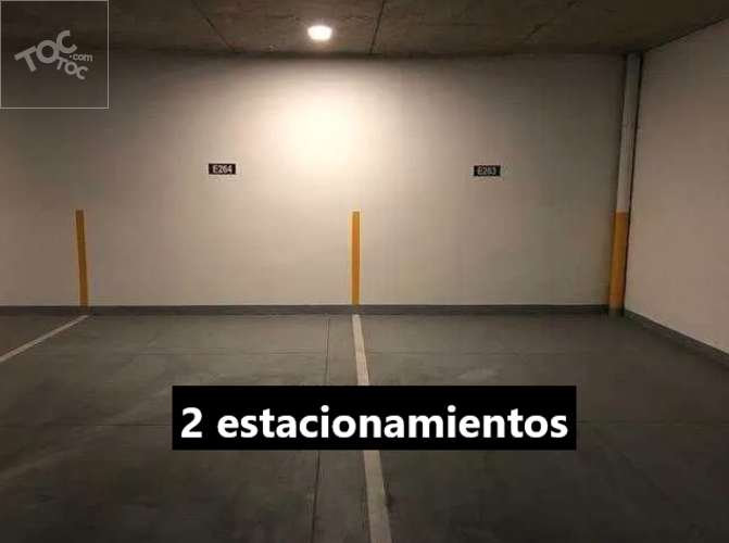 SUAREZ MUJICA // SEMINARIO