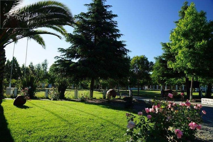 Hotel / Villa Alegre