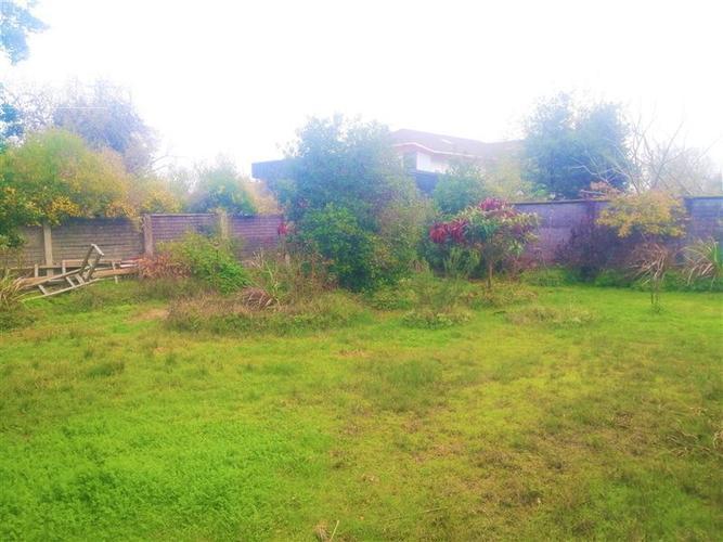Casa con amplio terreno