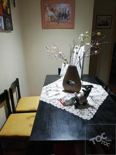DEPARTAMENTO QUINTA NORMAL