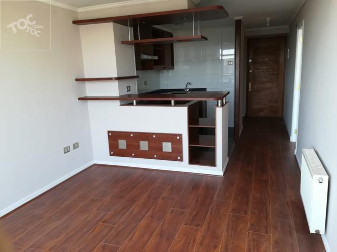 DEPARTAMENTO EN SANTO DOMINGO/AMUNATEGUI