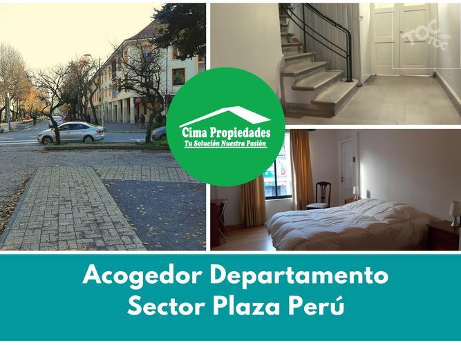 Departamento, Oficina, Plaza Peru Concepcion