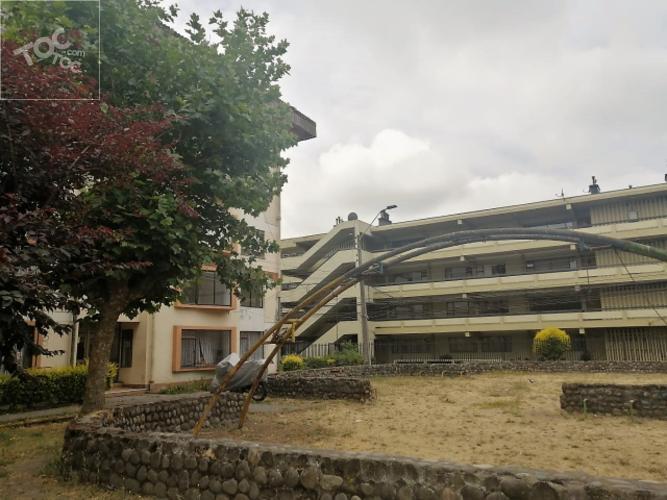 PROCASA/PAICAVI/LOS CARRERA
