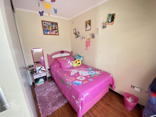 Rica Aventura #11888
