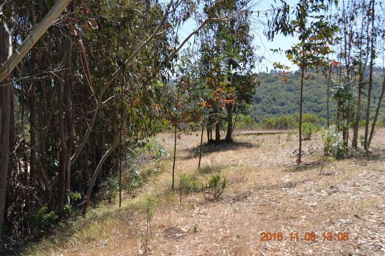 Hostal EN VENTA | San Antonio
