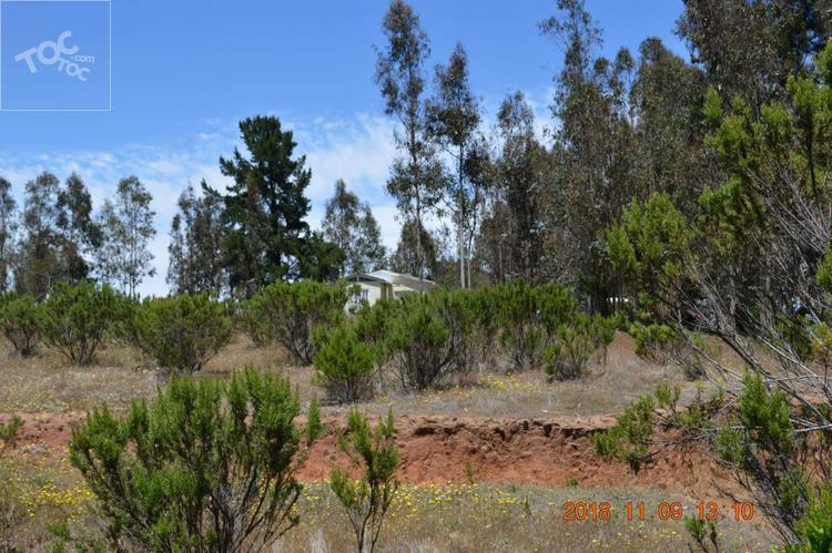Hostal EN VENTA | San Antonio