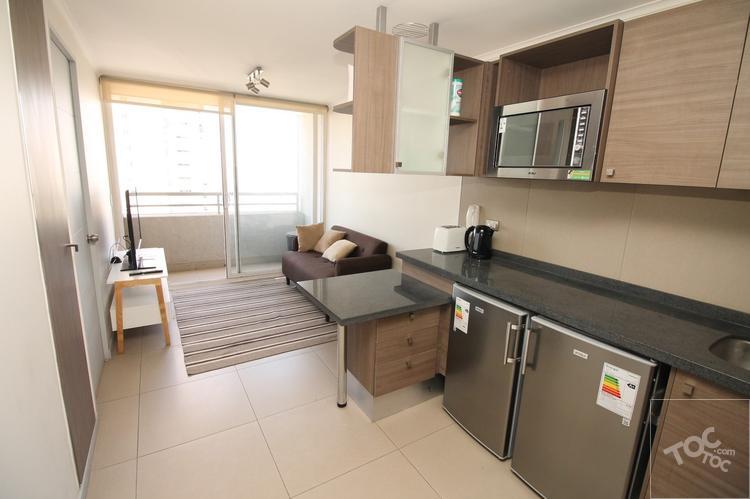 Arriendo Departamento Amoblado Moneda Santiago