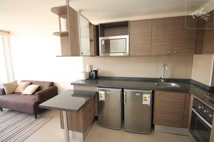 Arriendo Departamento Amoblado Moneda Santiago