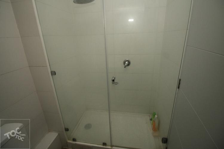 Arriendo Departamento Amoblado Moneda Santiago