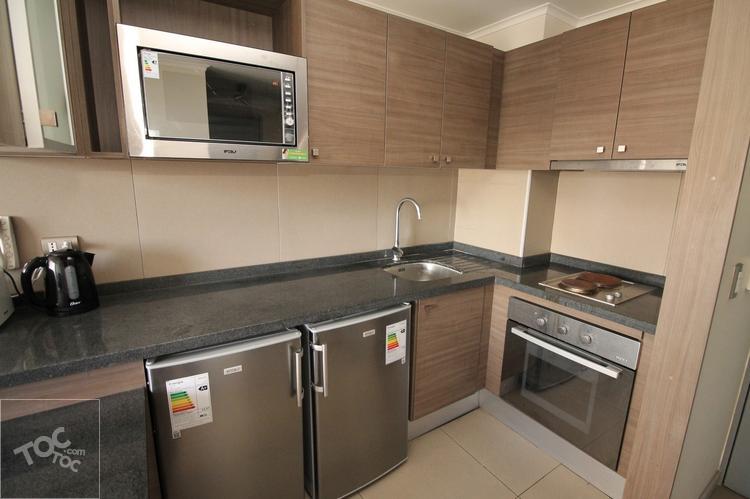 Arriendo Departamento Amoblado Moneda Santiago